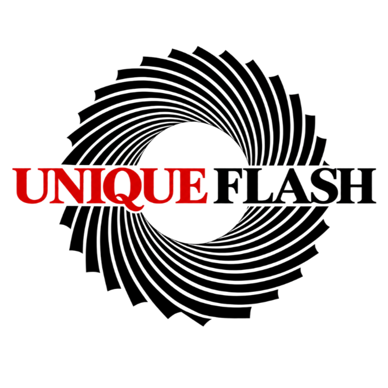 Unique Flash logo